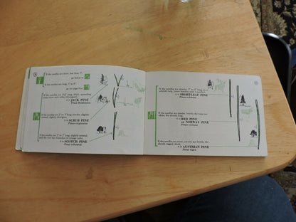 MASTER TREE FINDER: A MANUAL FOR THE IDENTIFICATION OF TREES BY THEIR LEAVES 196