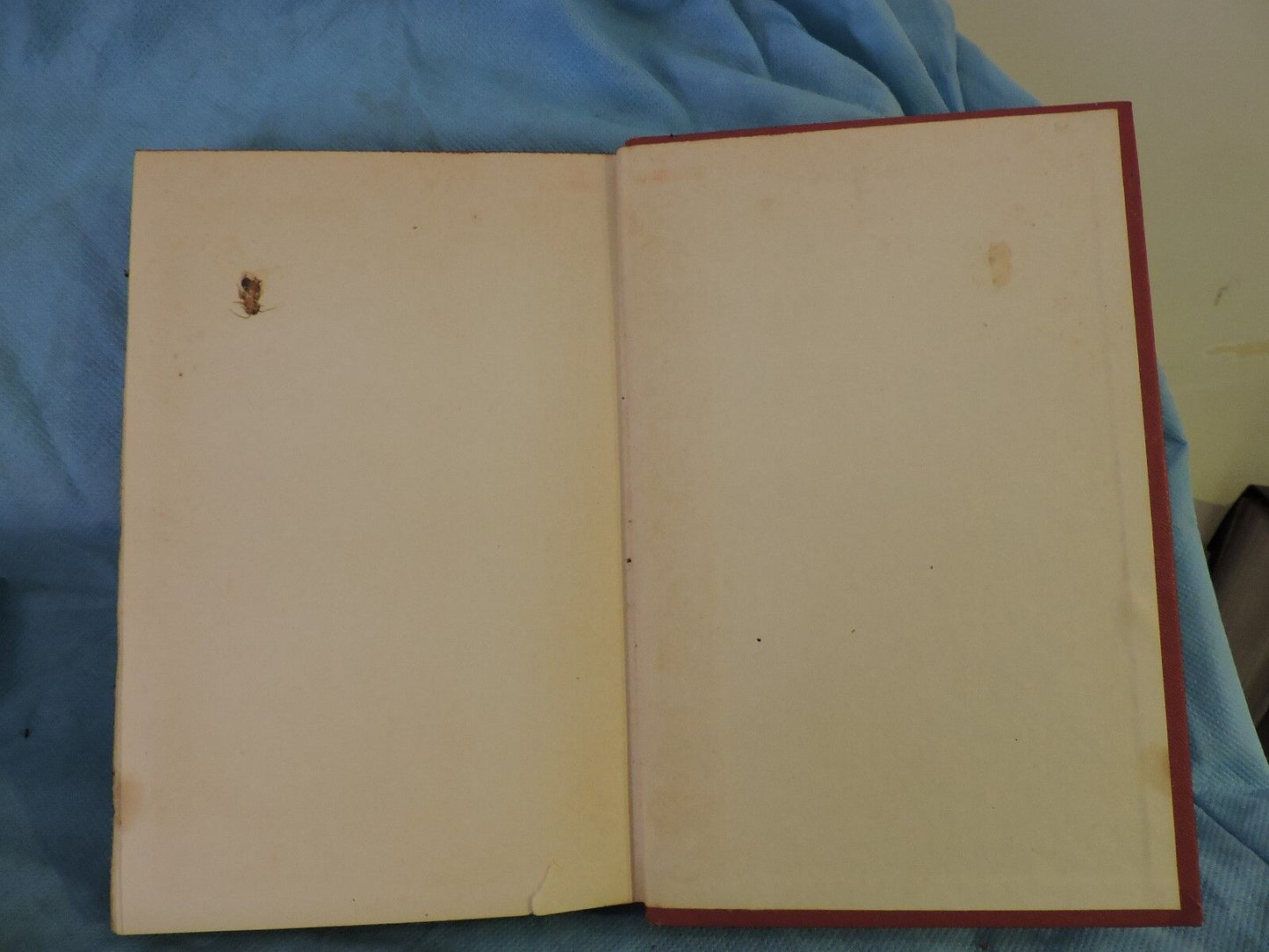 THE BREAK IN THE CIRCLE  Book - 1951 Phillip Loraine