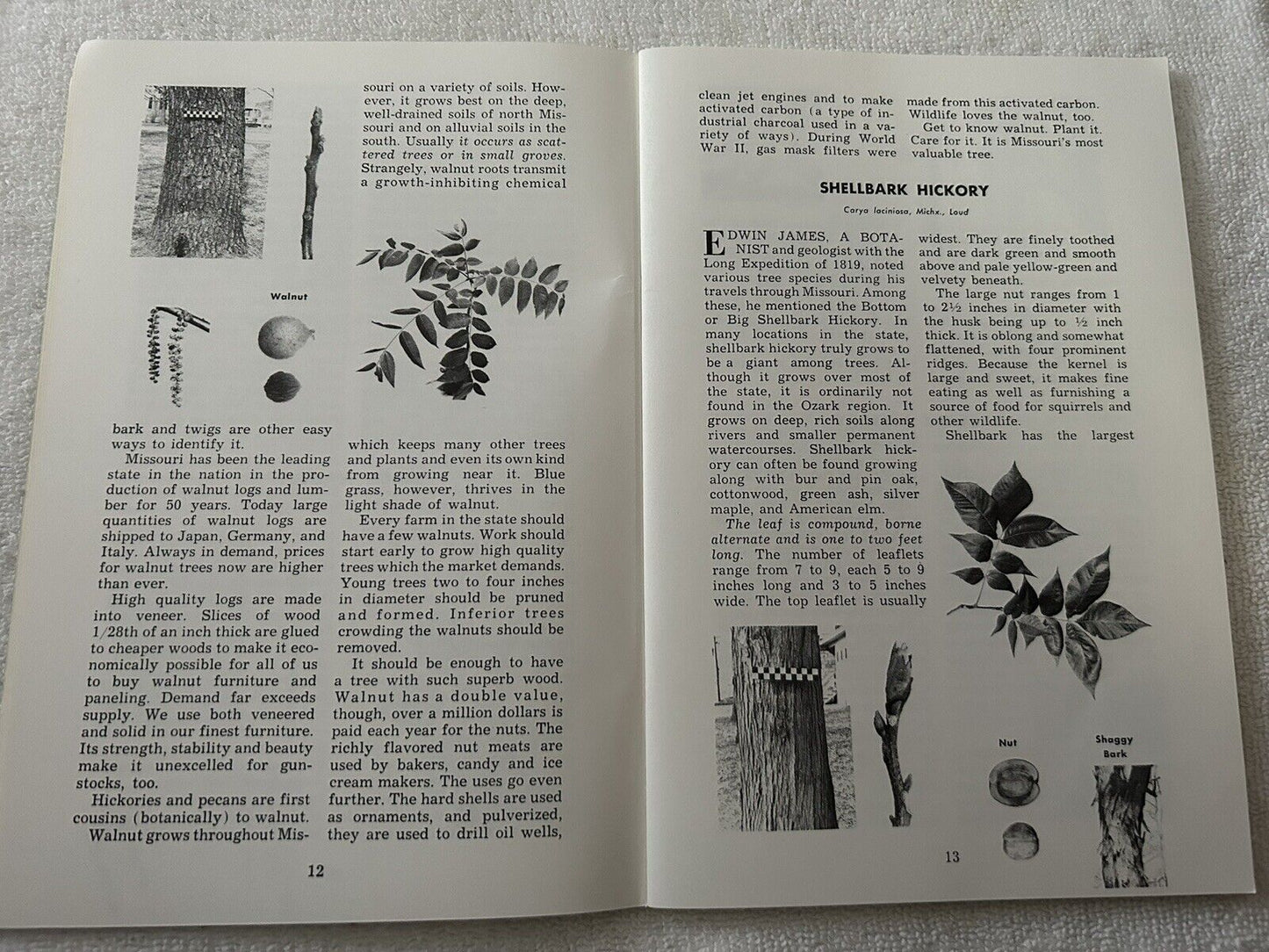MISSOURI TREES:  MISSOURTI DEPARTMENT OF CONSERVATION 1973