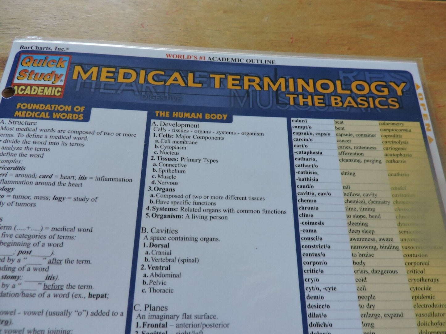 QUICK STUDY MEDICAL TERMINOLOGY: THE BASICS 2002
