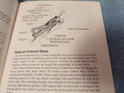 Insect Study: BSA Merit Badge Series Book 1987 Printing