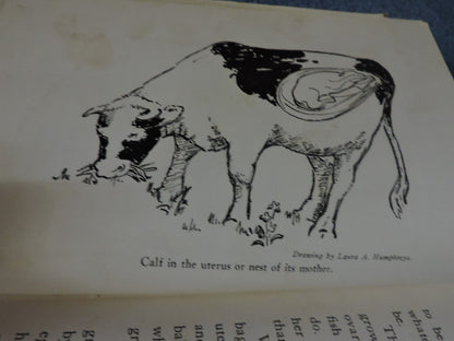 Growing Up by Karl De Schweinitz 1944 Printing (How we become alive)