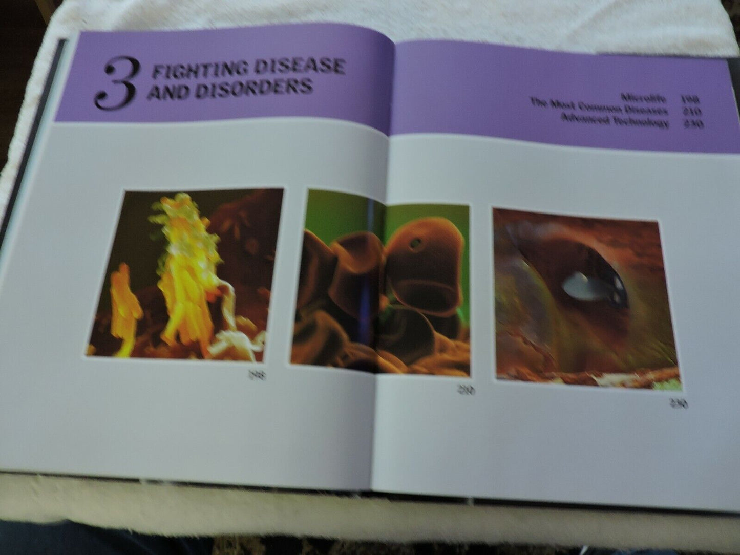 THE HUMAN BODY: A FAMILY REFERENCE GUIDE  2012