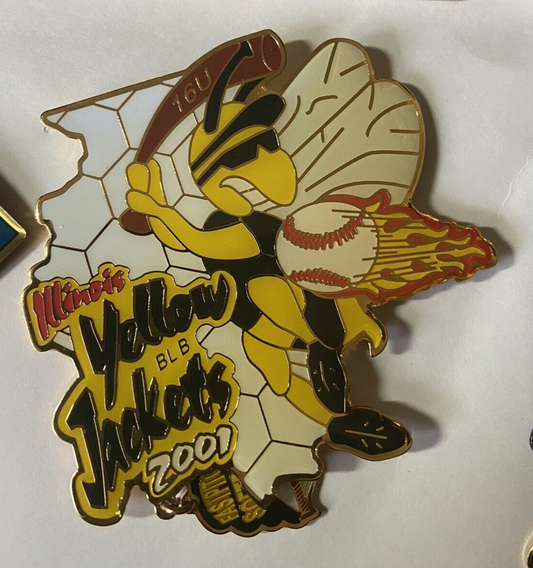 Vintage Softball Pin: Illinois Yellow Jackets 2001 Fastpitch Softball