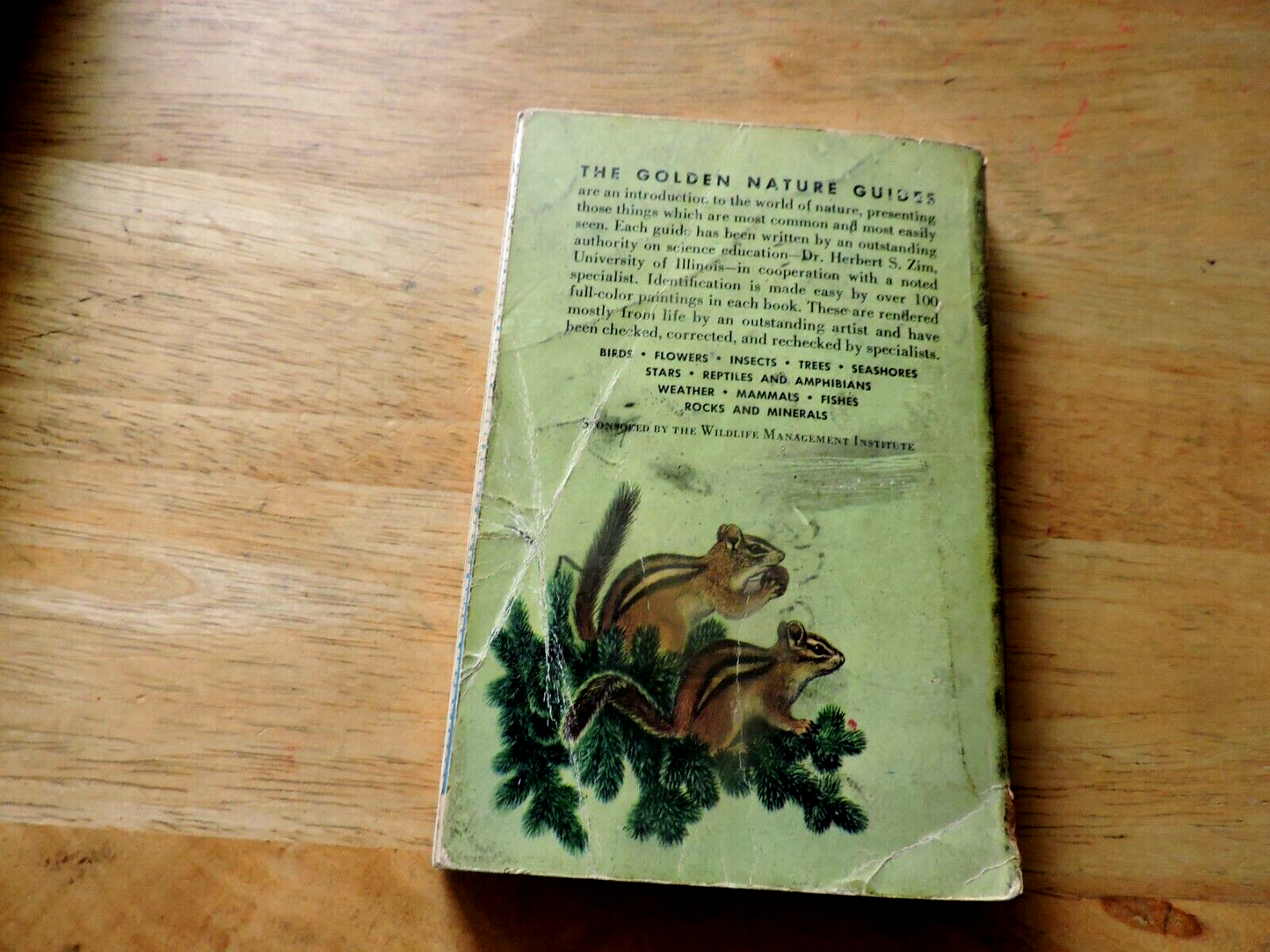 Mammals a Golden Nature Guide by Zim and Hoffmeister 1955