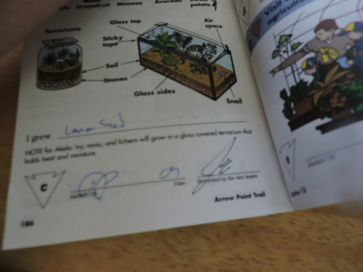CUB SCOUT: WOLF  HANDBOOK  2005