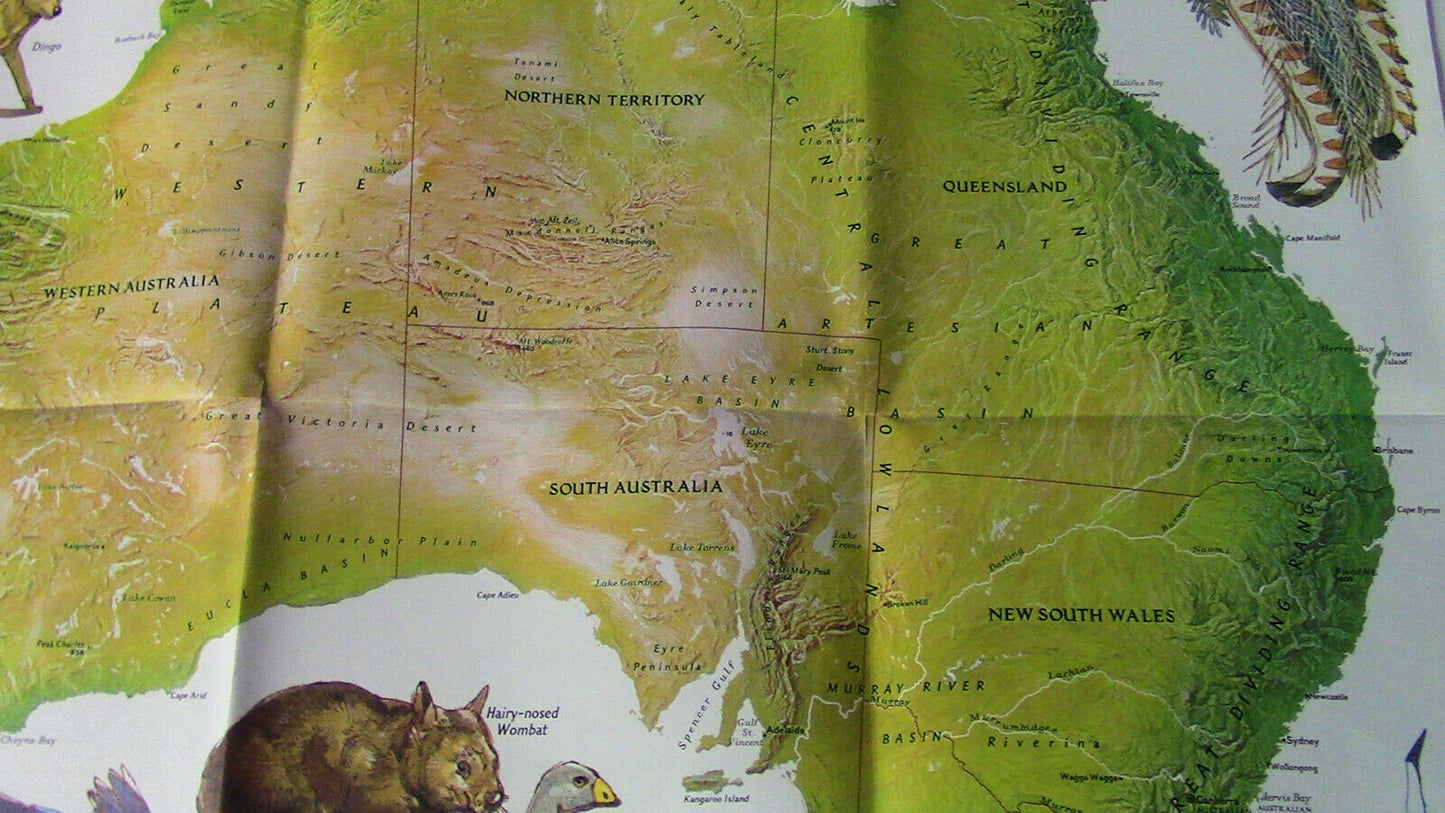The National Geographic Magazine Map of Australia (Land of the Living Fossils)