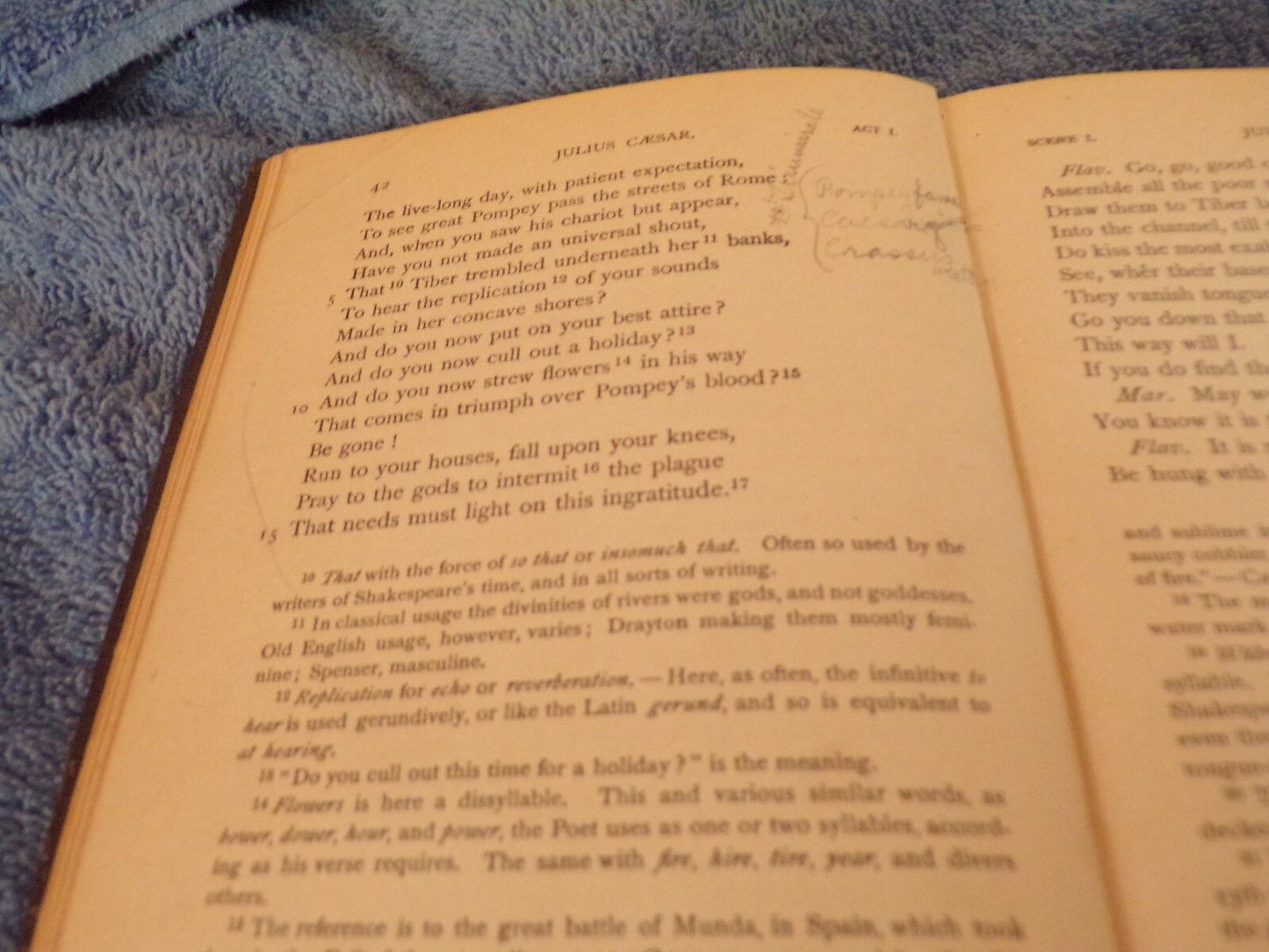 English Standard Edition: "Julius Caesar" by Shakespeare 1879 Printing