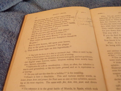 English Standard Edition: "Julius Caesar" by Shakespeare 1879 Printing