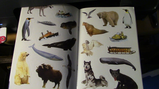 BSA-Cub Scout Activity Book, Poles Apart (Stickers Included)