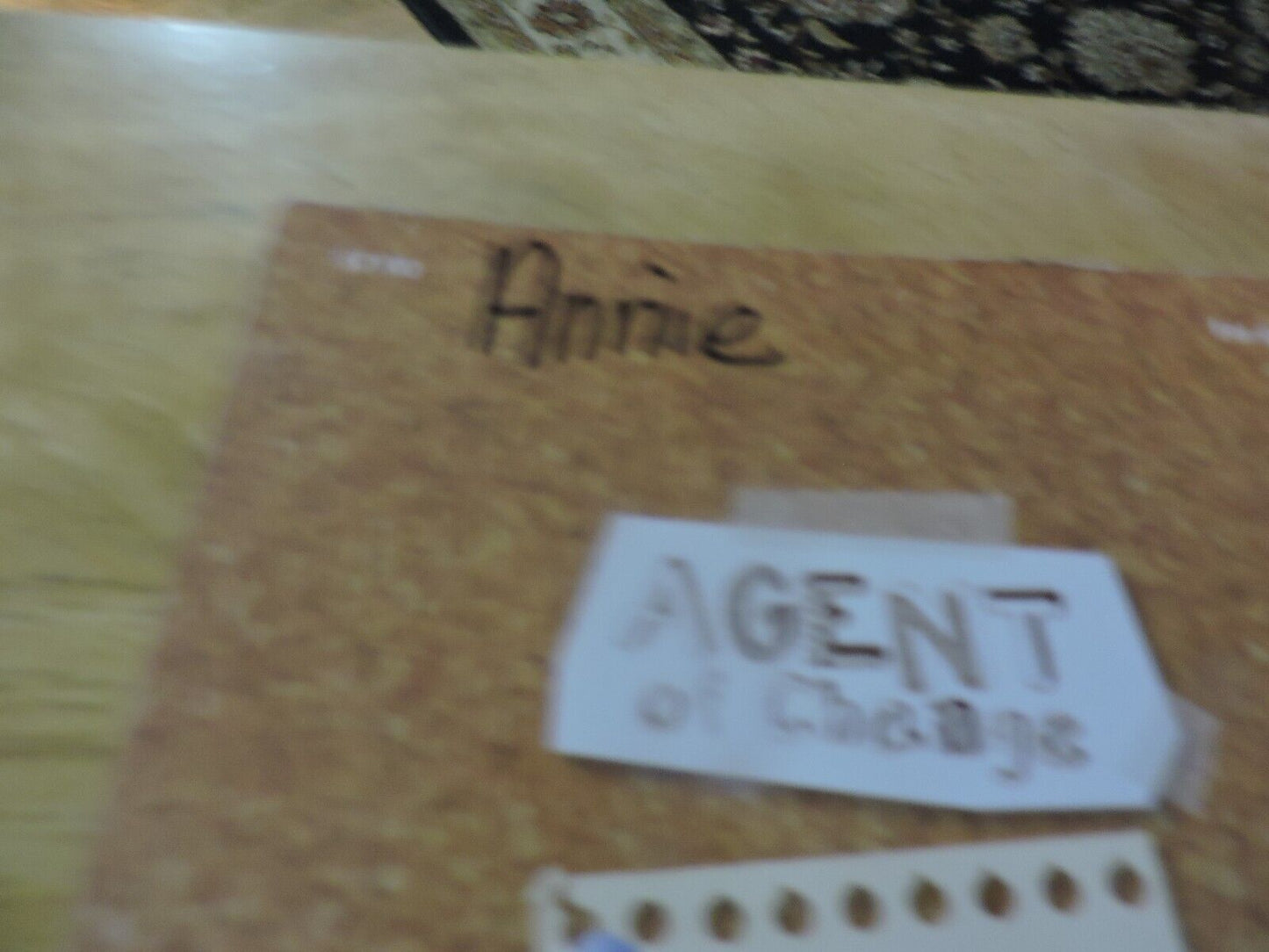 GIRL SCOUTS:  AGENT OF CHANGE 2008