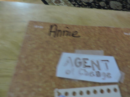 GIRL SCOUTS:  AGENT OF CHANGE 2008