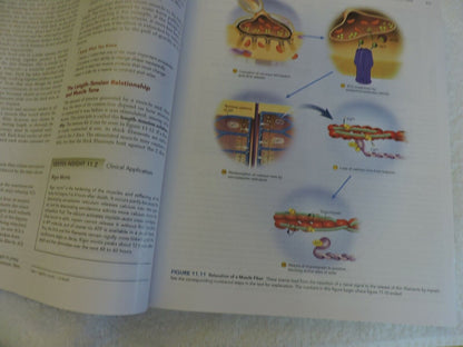 ANATOMY PHYSIOLOGY  THE UNITY OF FORM AND FUNCTION, SALADIN