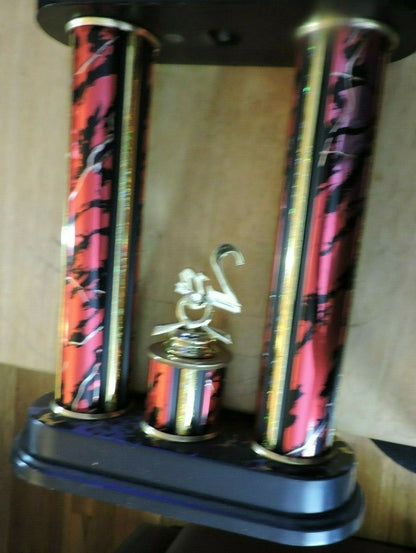 LADY 2ND PLACE BIKE RIDING TROPHY  2015  21X8X4.25 INCHES