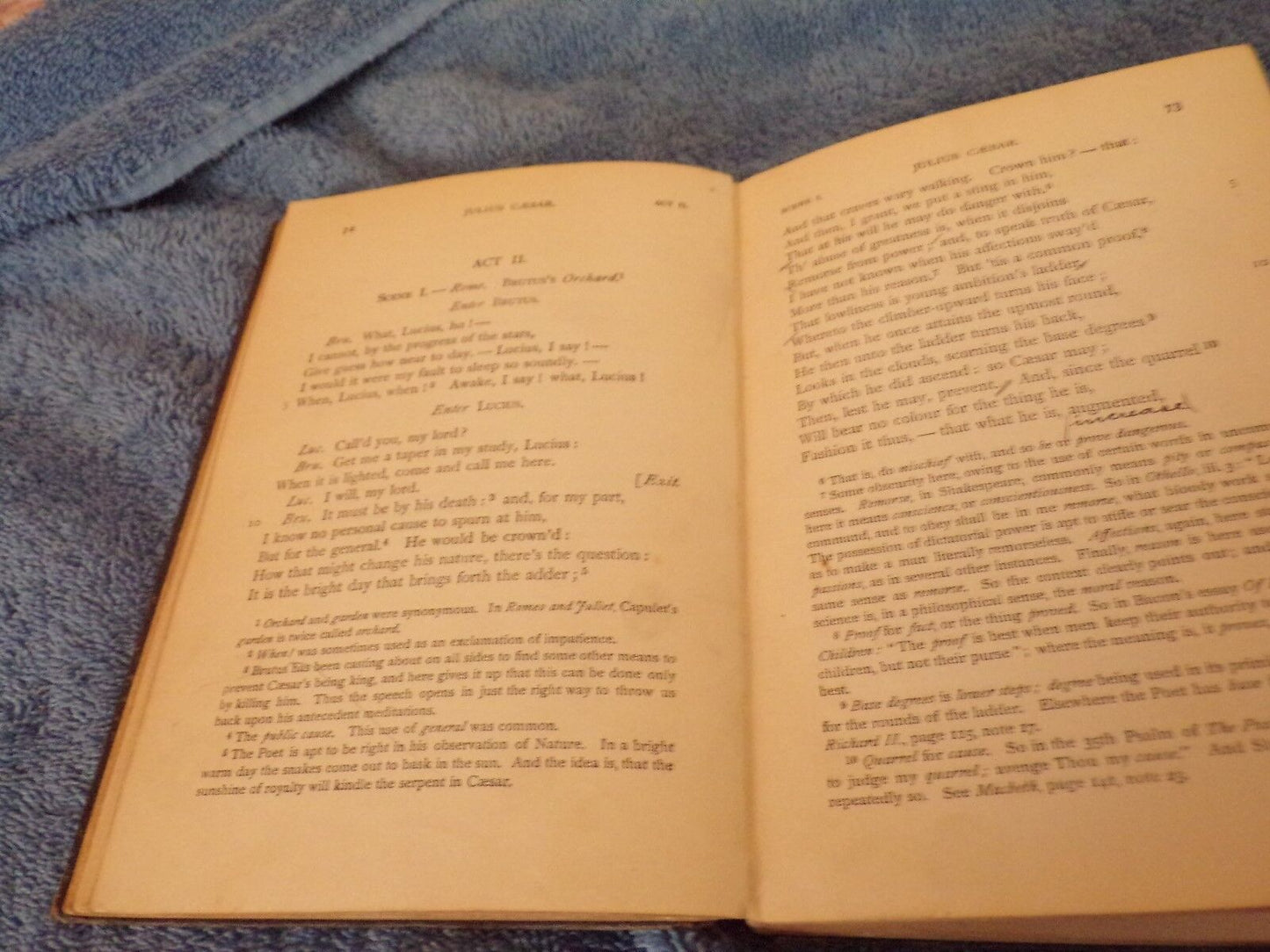 English Standard Edition: "Julius Caesar" by Shakespeare 1879 Printing