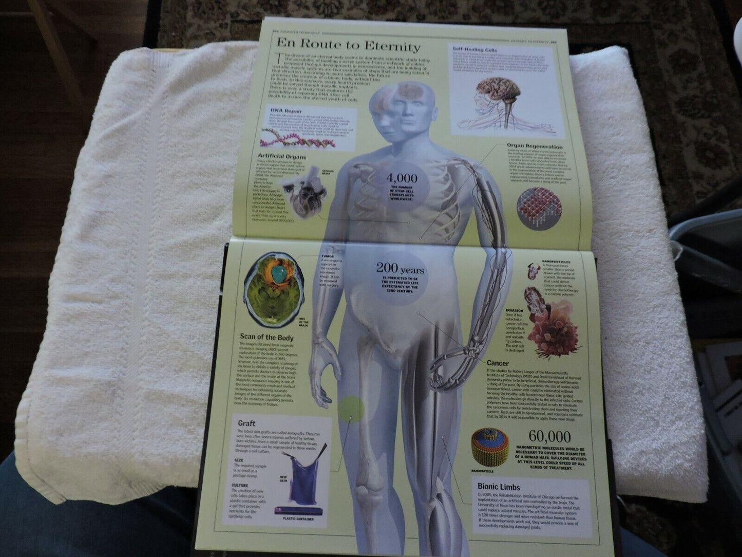 THE HUMAN BODY: A FAMILY REFERENCE GUIDE  2012
