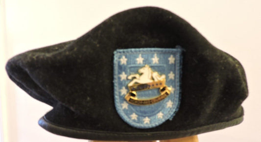Army 8th CALVARY REGIMENT HONOR AND COURAGE PIN AND BLACK BERET SIZE 7