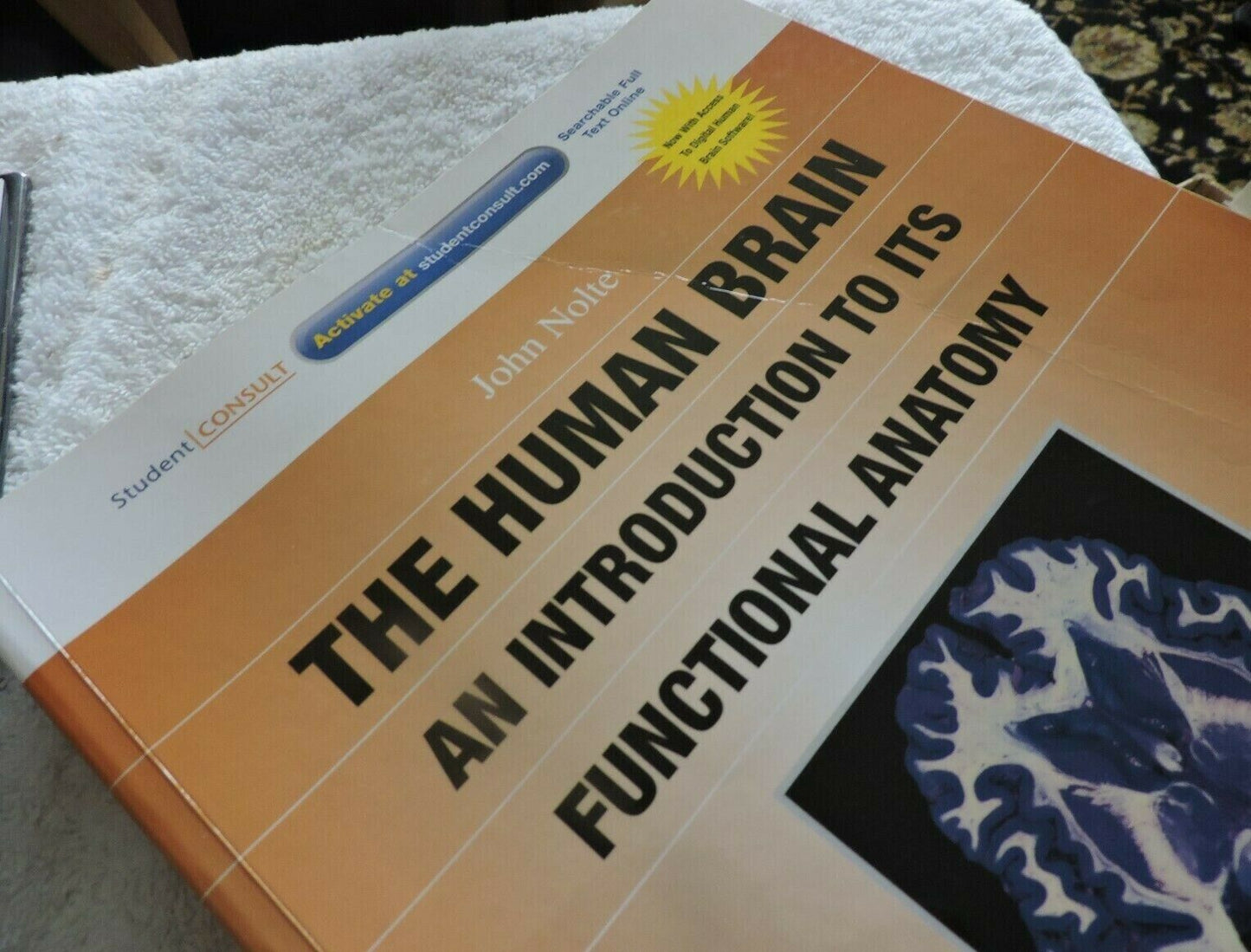THE HUMAN BRAIN AN INTRODUCTION TO ITS FUNCTIONAL ANATOMY 2009 JOHN NOLTE