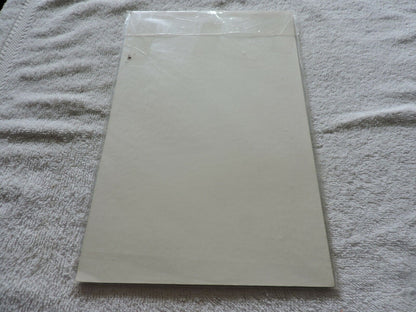Xtreme XMen Blindside Issue 002    UNGRADED  2001