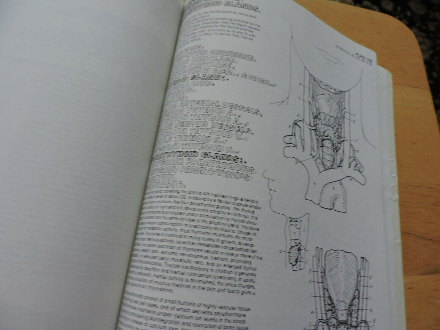 THE ANATOMY COLORING BOOK BY WYNN KAPIT/LAWRENCE M. ELSON 1977