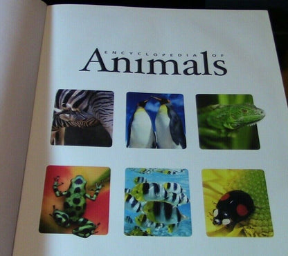 Encyclopedia of Animals (2007 Printing) Colorful Pictures