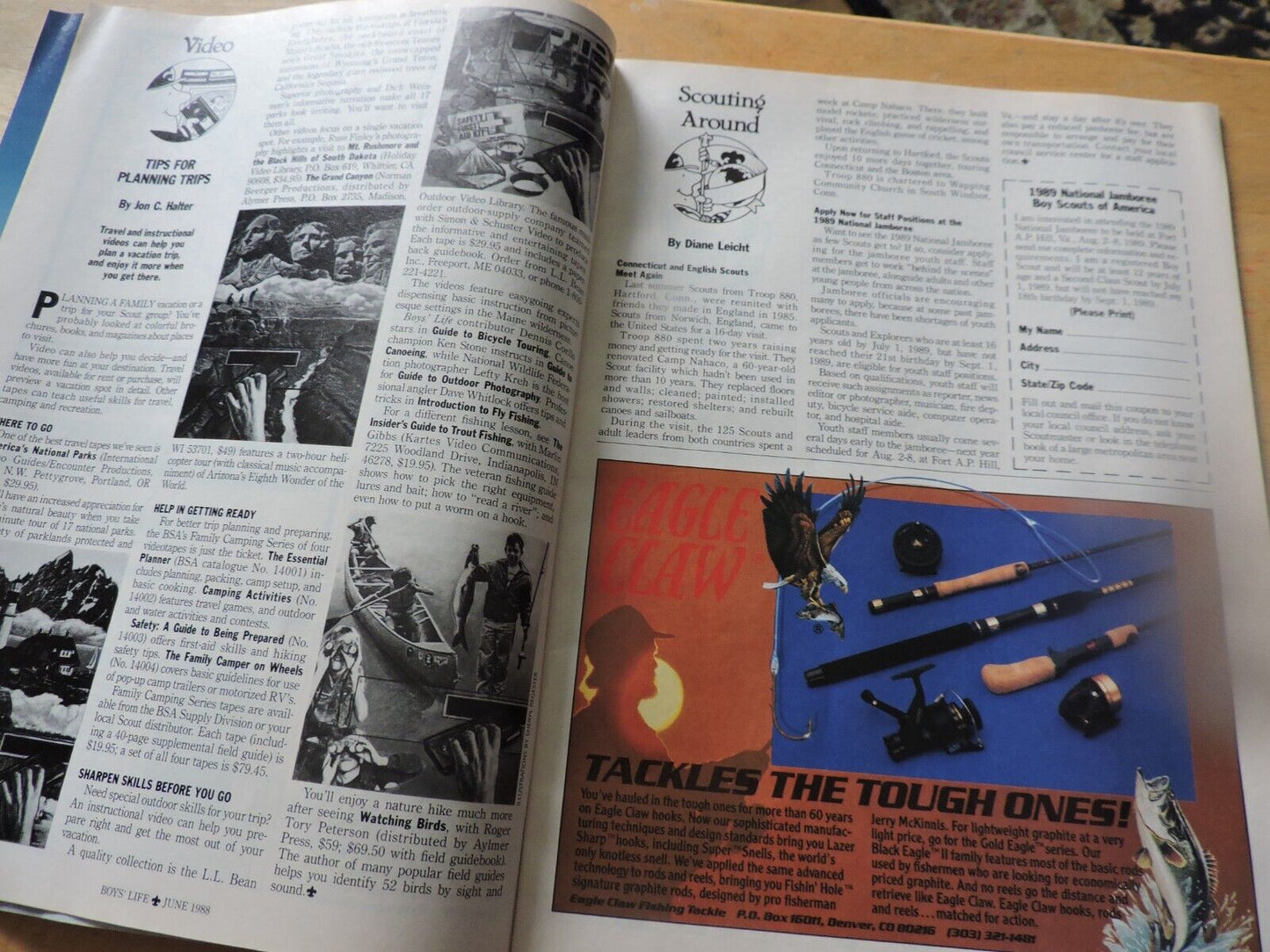 BOYS' LIFE MAGAZINE-JUNE 1988-PANFISHING:  A BEGINNER'S GUIDE