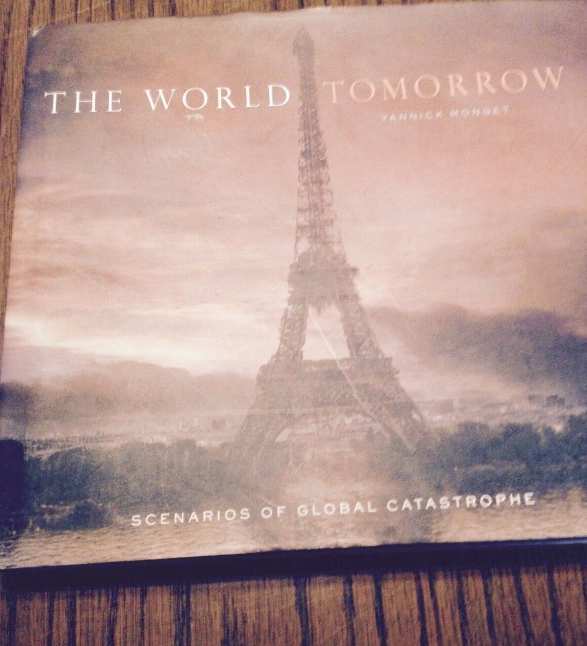 The World Tomorrow by Yannick Monget (2007, Hardcover)