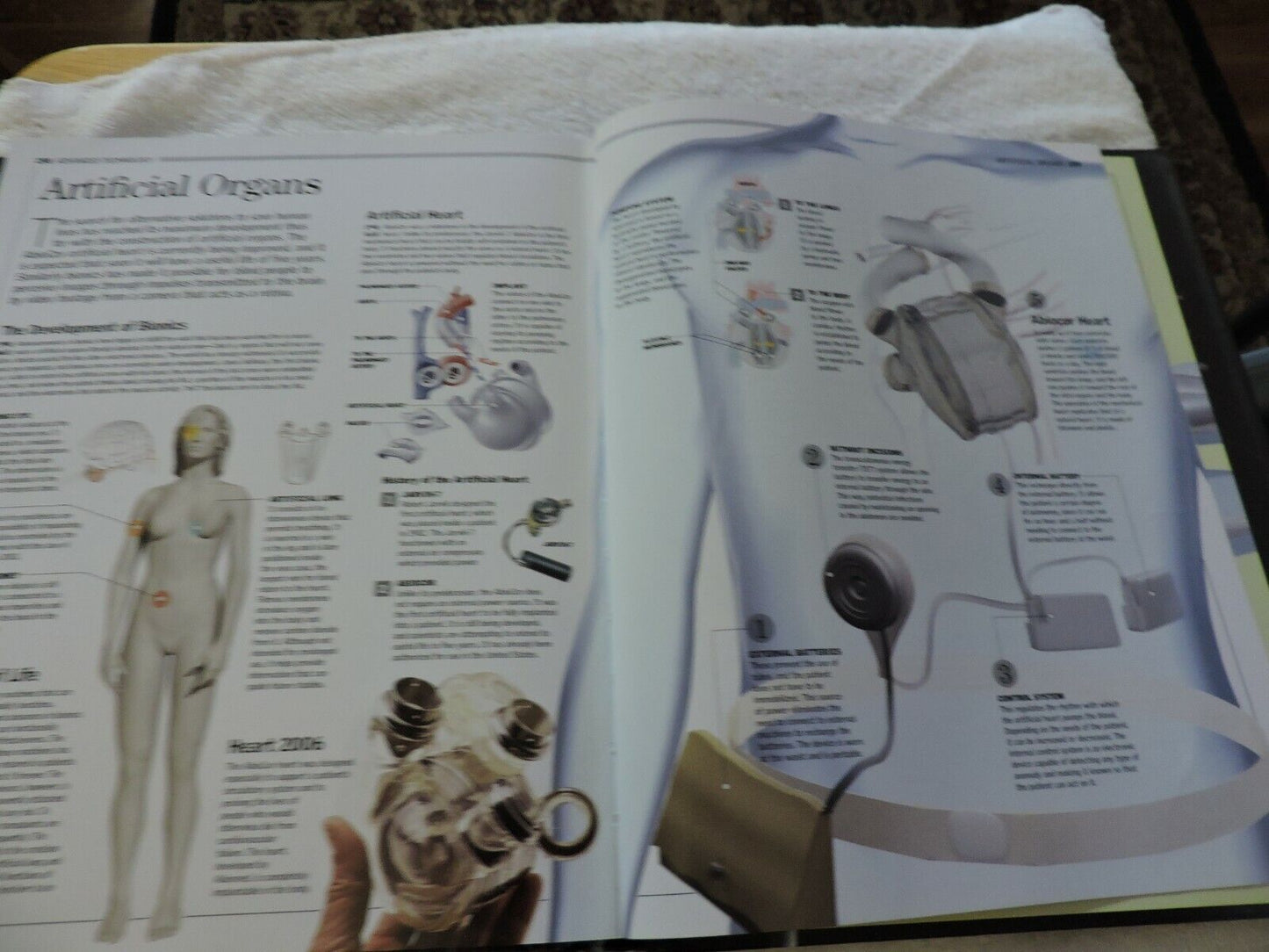 THE HUMAN BODY: A FAMILY REFERENCE GUIDE  2012