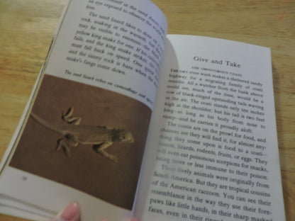 WALT S DISNEY: LIVING DESERT--A GOLDEN BOOK 1969