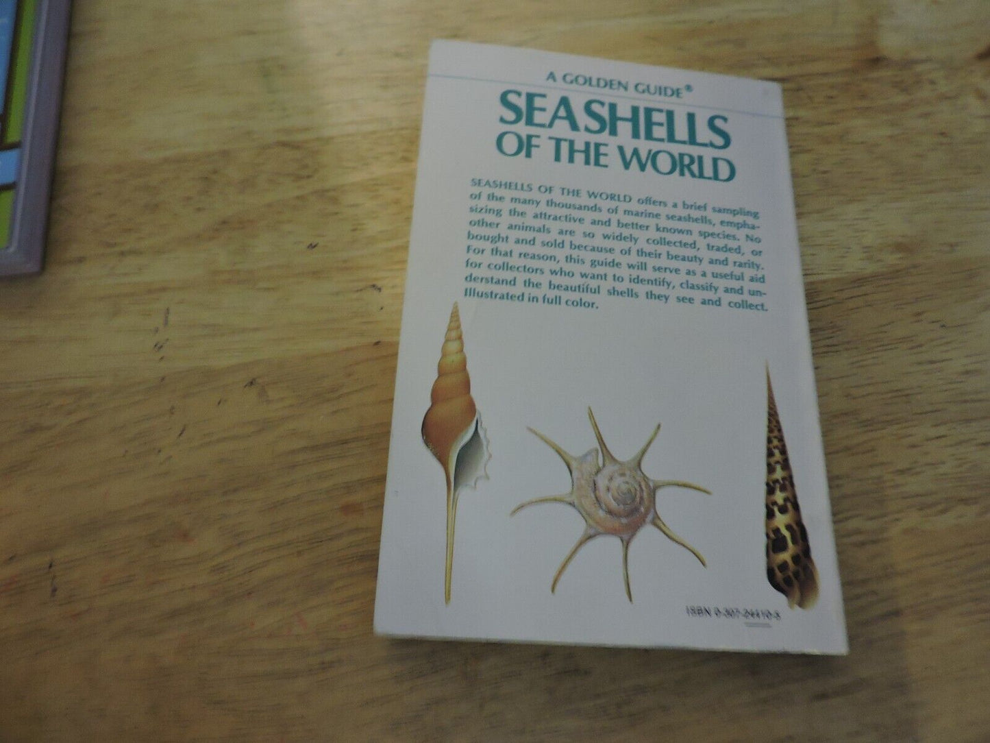 Sea Shells Of The World, A Golden Nature Guide, 1962 Trade Paperback