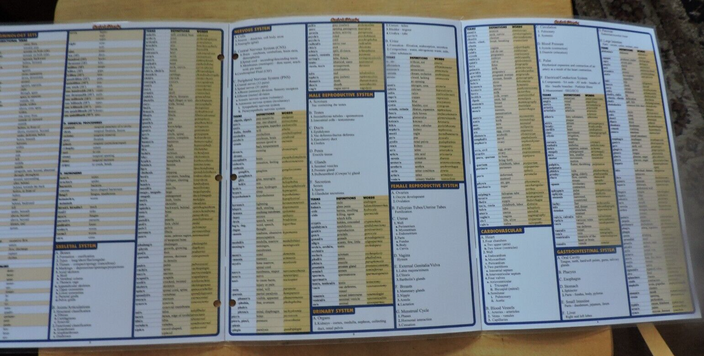 QUICK STUDY MEDICAL TERMINOLOGY: THE BODY 2002