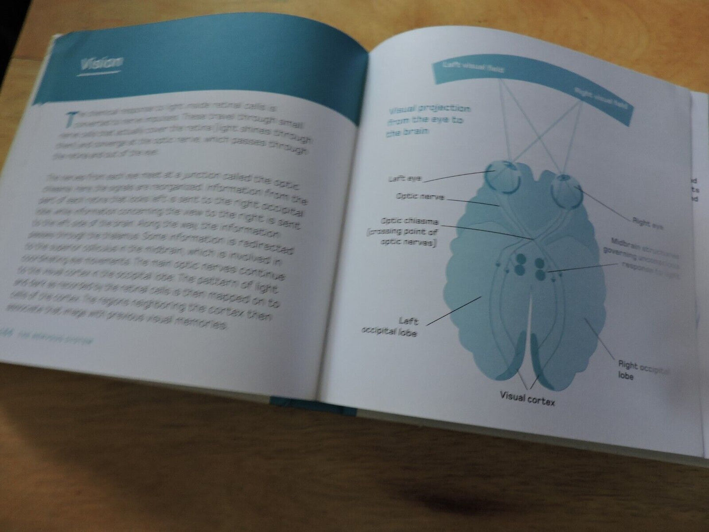 THE HUMAN BODY IN MINUTES BY TOM JACKSON 2020