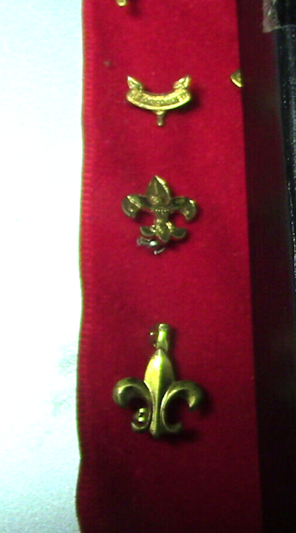 Official Vintage BSA Pins: EAGLE/LIFE/STAR/1ST CLASS/2ND CLASS/TENDERFOOT/SCOUT