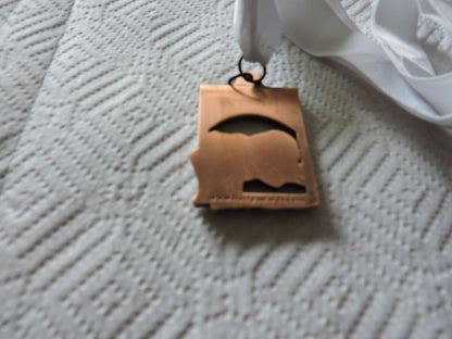 SANTA CLARA VALLEY WESTLING ASSSOCIATION- WITH WHITE RIBBON MEDAL 2X1.5 INCHES