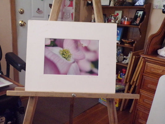 Artist L Motnon Presents: "Blooming Flower" Matted and Signed (12" x 15") Photo