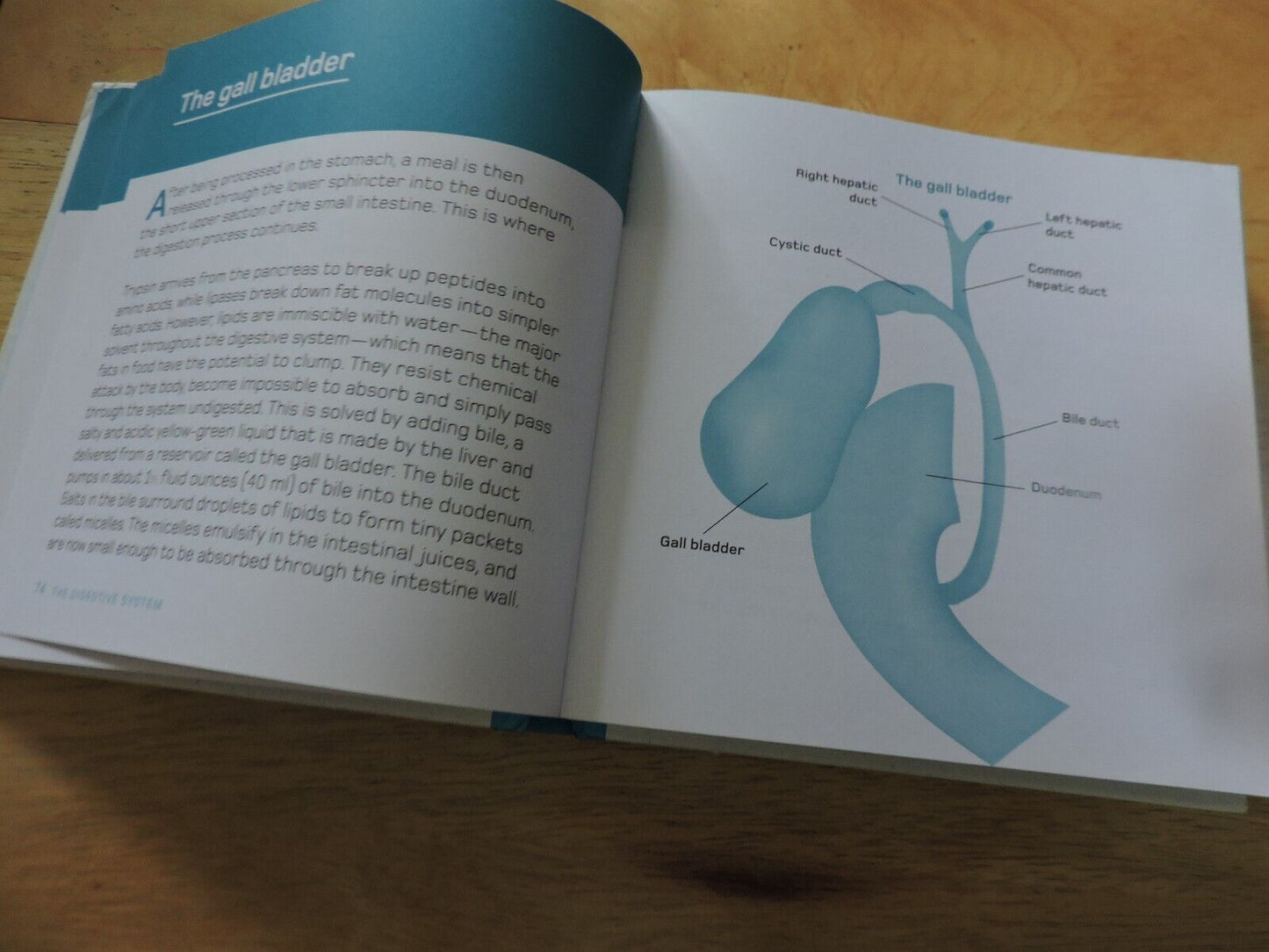 THE HUMAN BODY IN MINUTES BY TOM JACKSON 2020