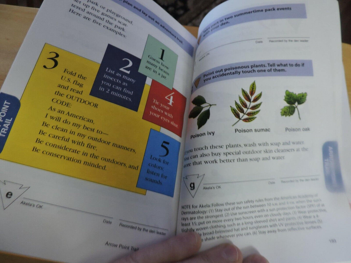 THE WOLF CUB SCOUT HANDBOOK 1999 PRINTING