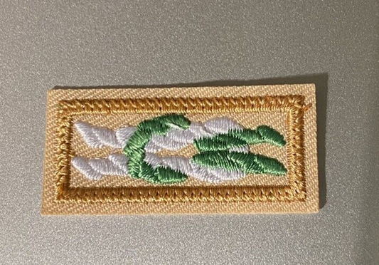 BSA: "Scouters Key"  Scout Uniform Award Knot