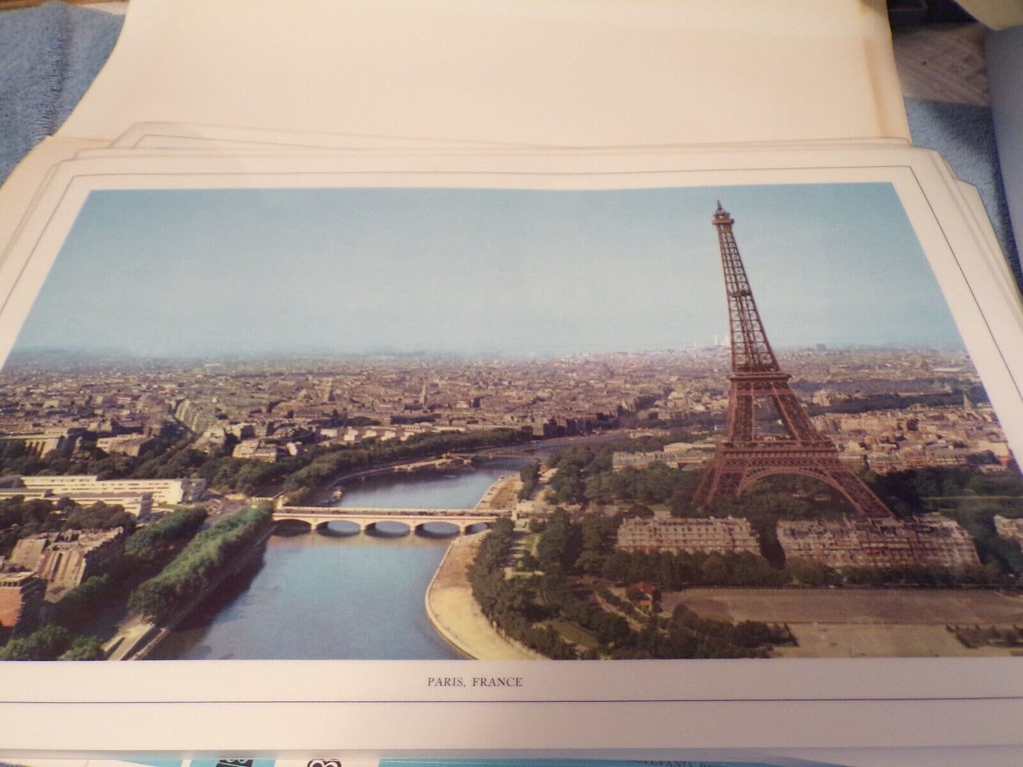A Collection of International Dinner Mats