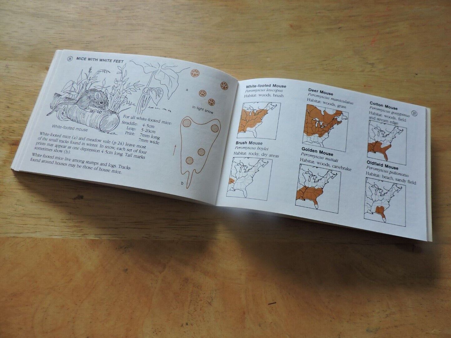 Track Finder : A Guide to Mammal Tracks of Eastern North America by Dorcas S....