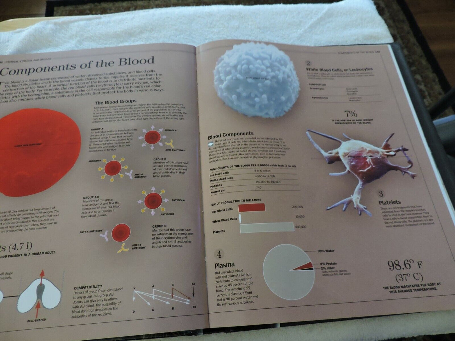 THE HUMAN BODY: A FAMILY REFERENCE GUIDE  2012