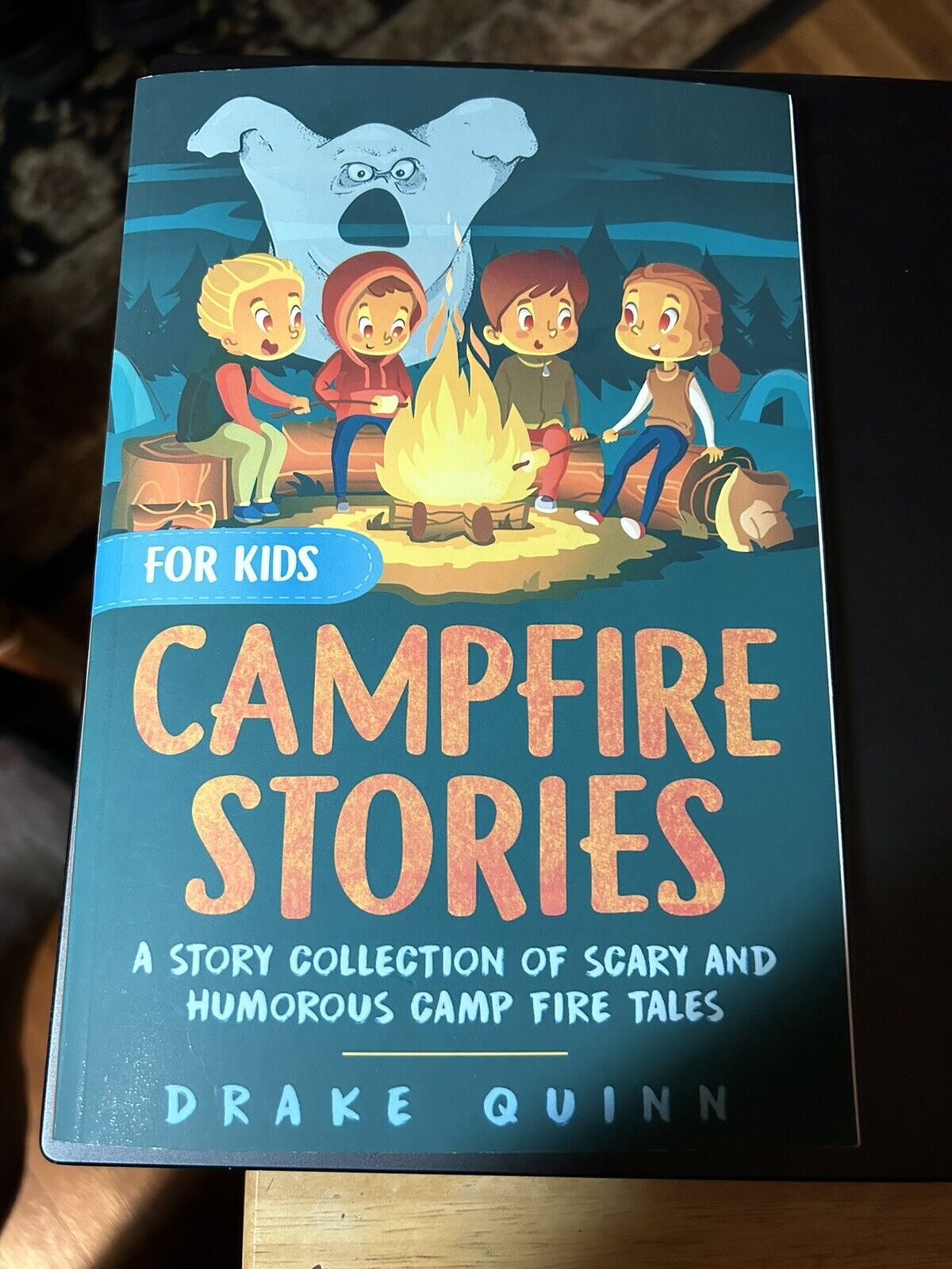 Campfire Stories for Kids by Drake Quinn 2019 (Scouts/Families/Campers)