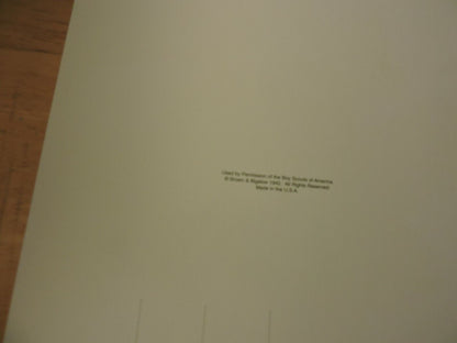 BSA/NORMAN ROCKWELL "WE TOO HAVE A JOB TO DO" BOY SCOUT 8X10 POST CARD