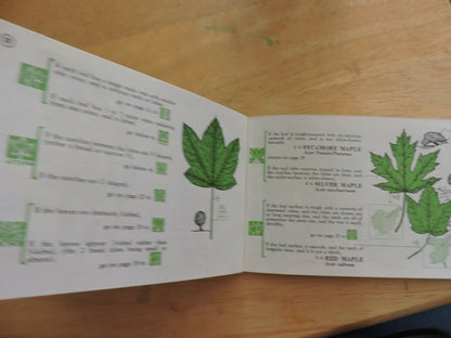 MASTER TREE FINDER: A MANUAL FOR THE IDENTIFICATION OF TREES BY THEIR LEAVES 196