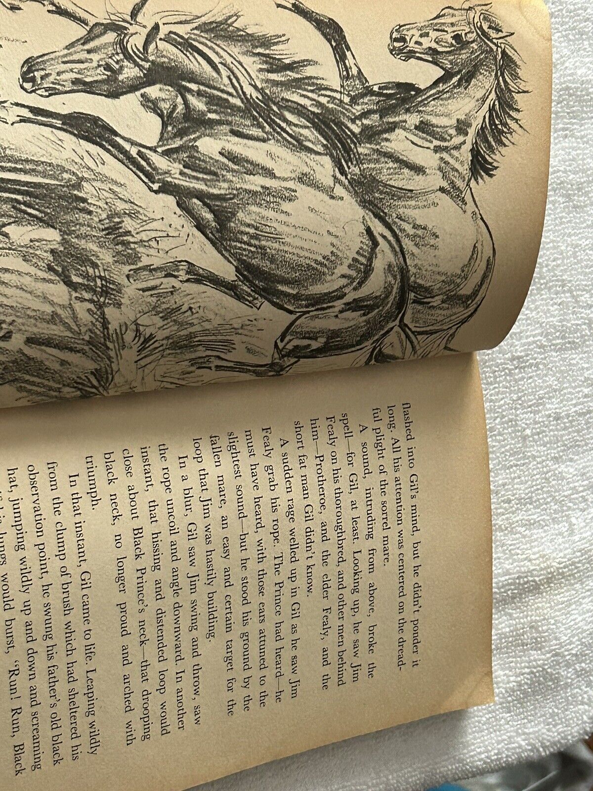 THE AMRICAN GIRL BOOK OF HORSE STORIES 1963