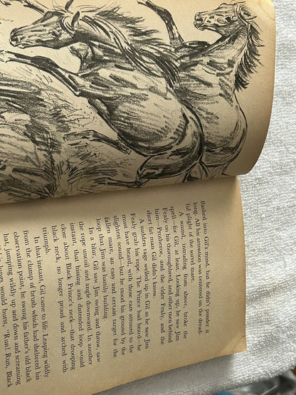 THE AMRICAN GIRL BOOK OF HORSE STORIES 1963