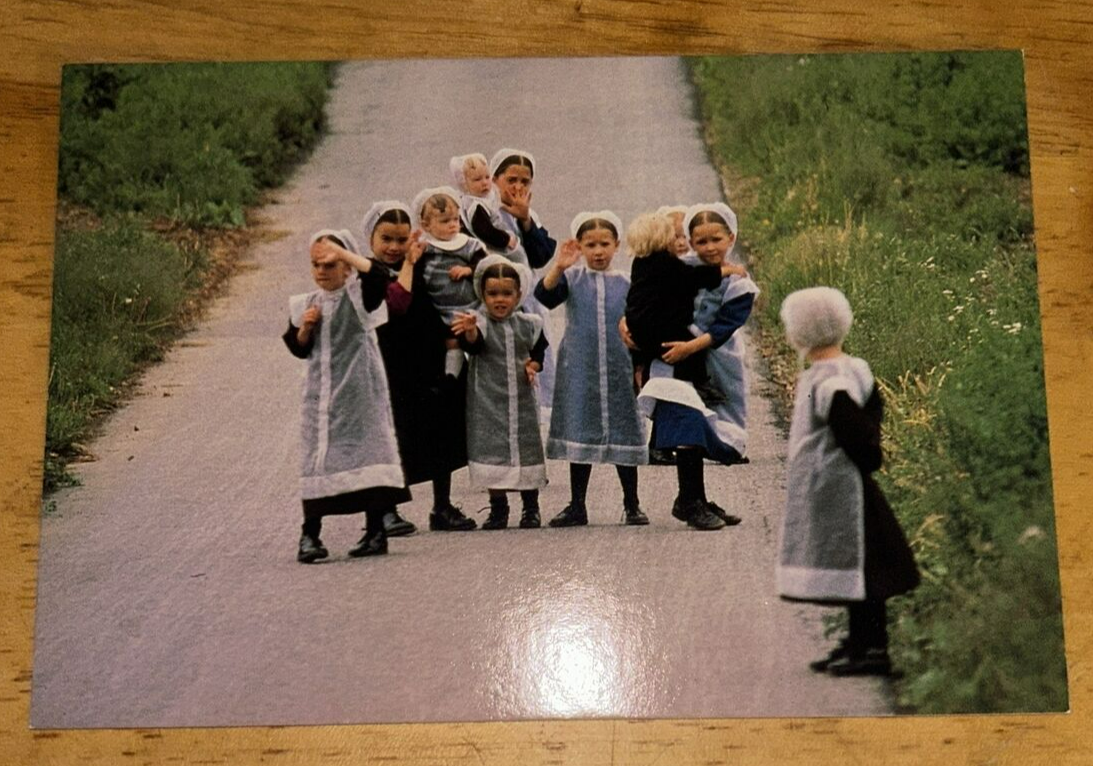 Postcard Unposted: Greetings From the Amish Country: CHILDREN