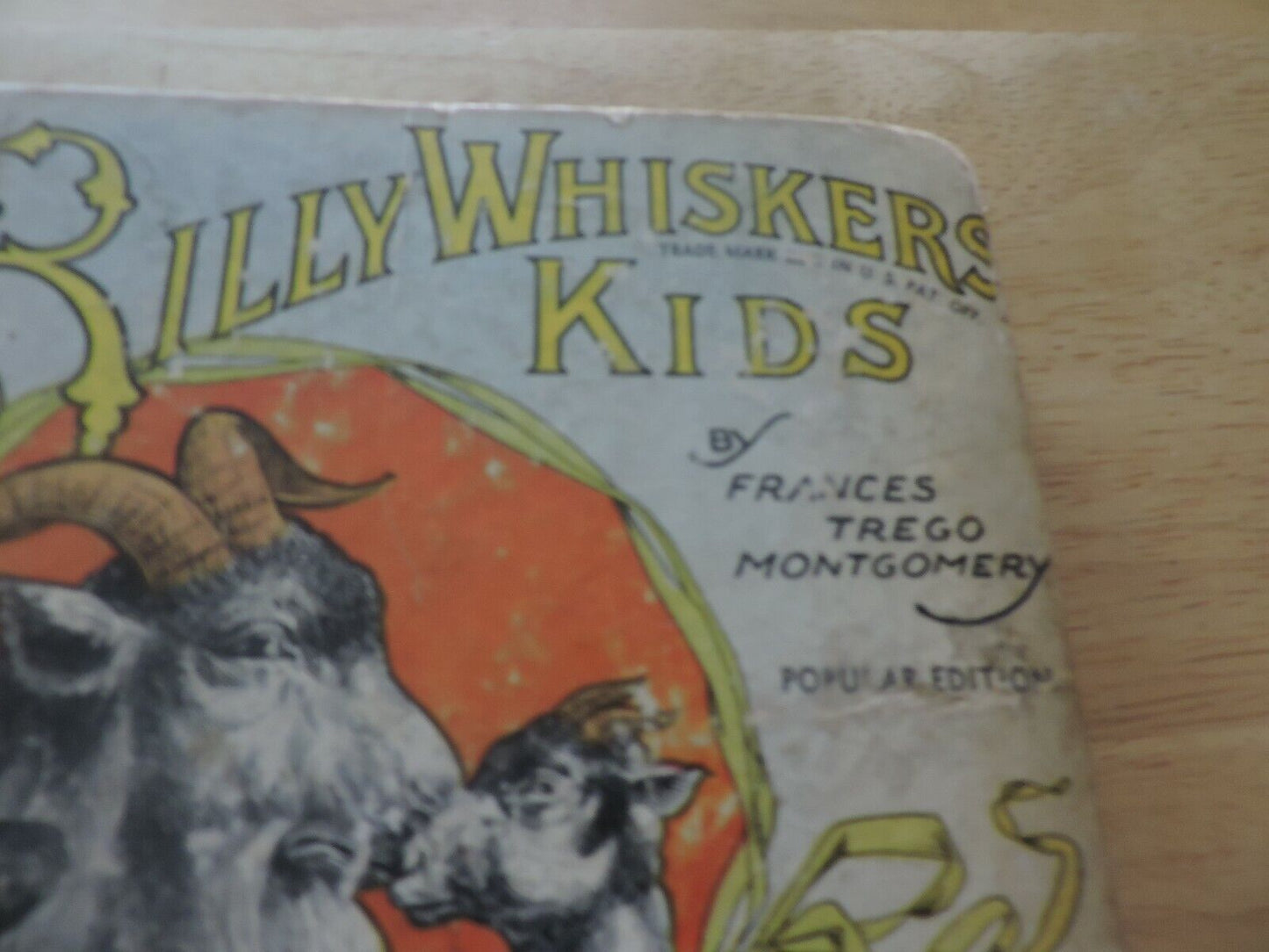BILLY WIHISKERS KIDS  BY FRANCES TREGO MONTGOMERY 1903