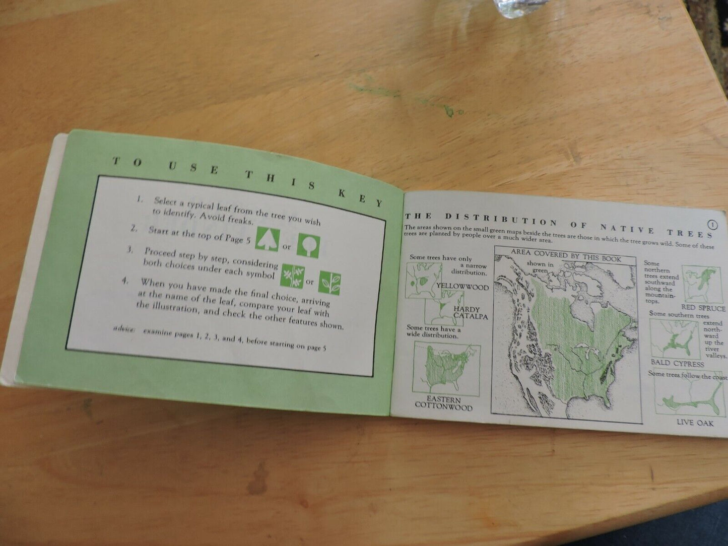 MASTER TREE FINDER: A MANUAL FOR THE IDENTIFICATION OF TREES BY THEIR LEAVES 196