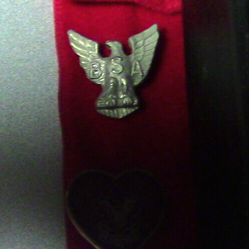 Official Vintage BSA Pins: EAGLE/LIFE/STAR/1ST CLASS/2ND CLASS/TENDERFOOT/SCOUT